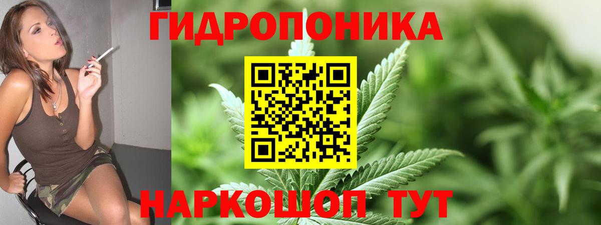 Бошки марихуана планчик Елец